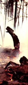 Fire Danger on the Homestead Image